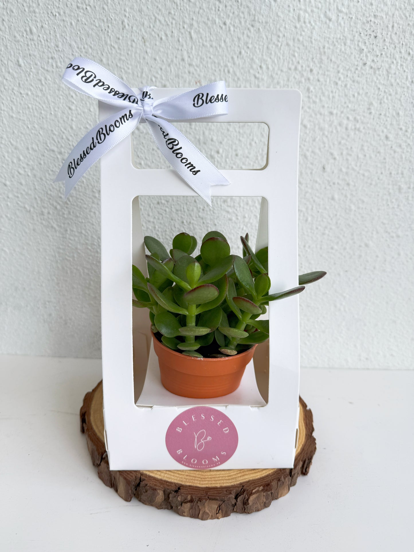 “Bloom & Grow” Teacher’s Day Special