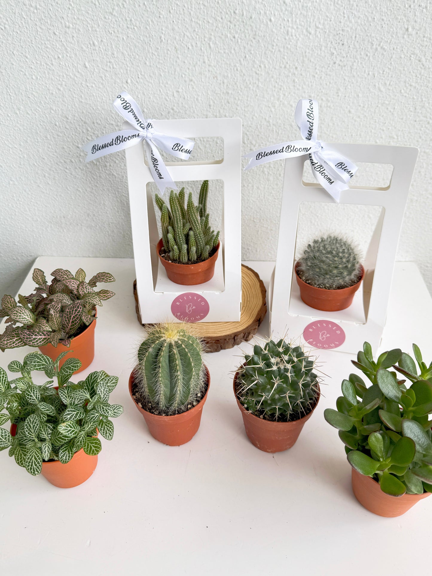 “Bloom & Grow” Teacher’s Day Special
