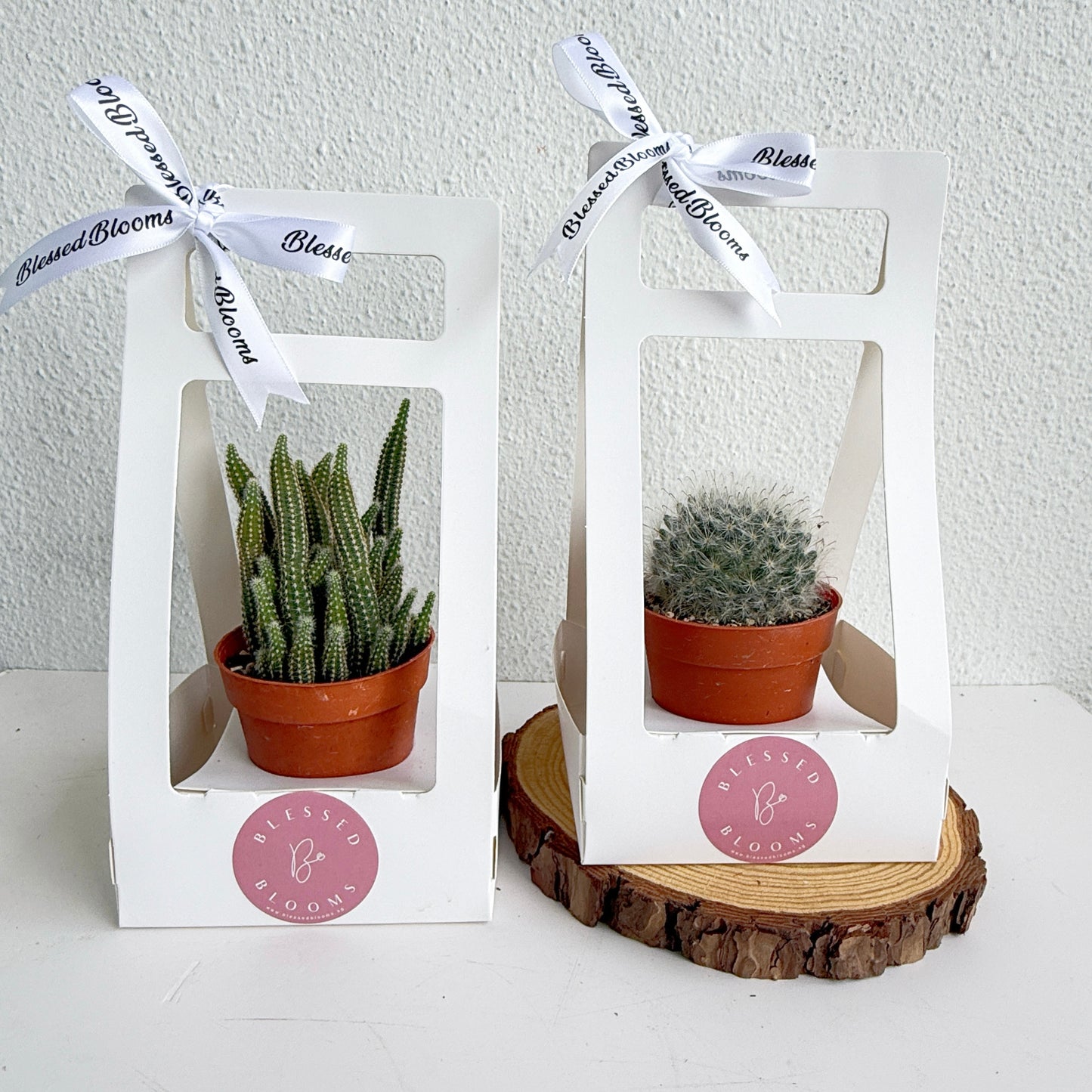 “Bloom & Grow” Teacher’s Day Special