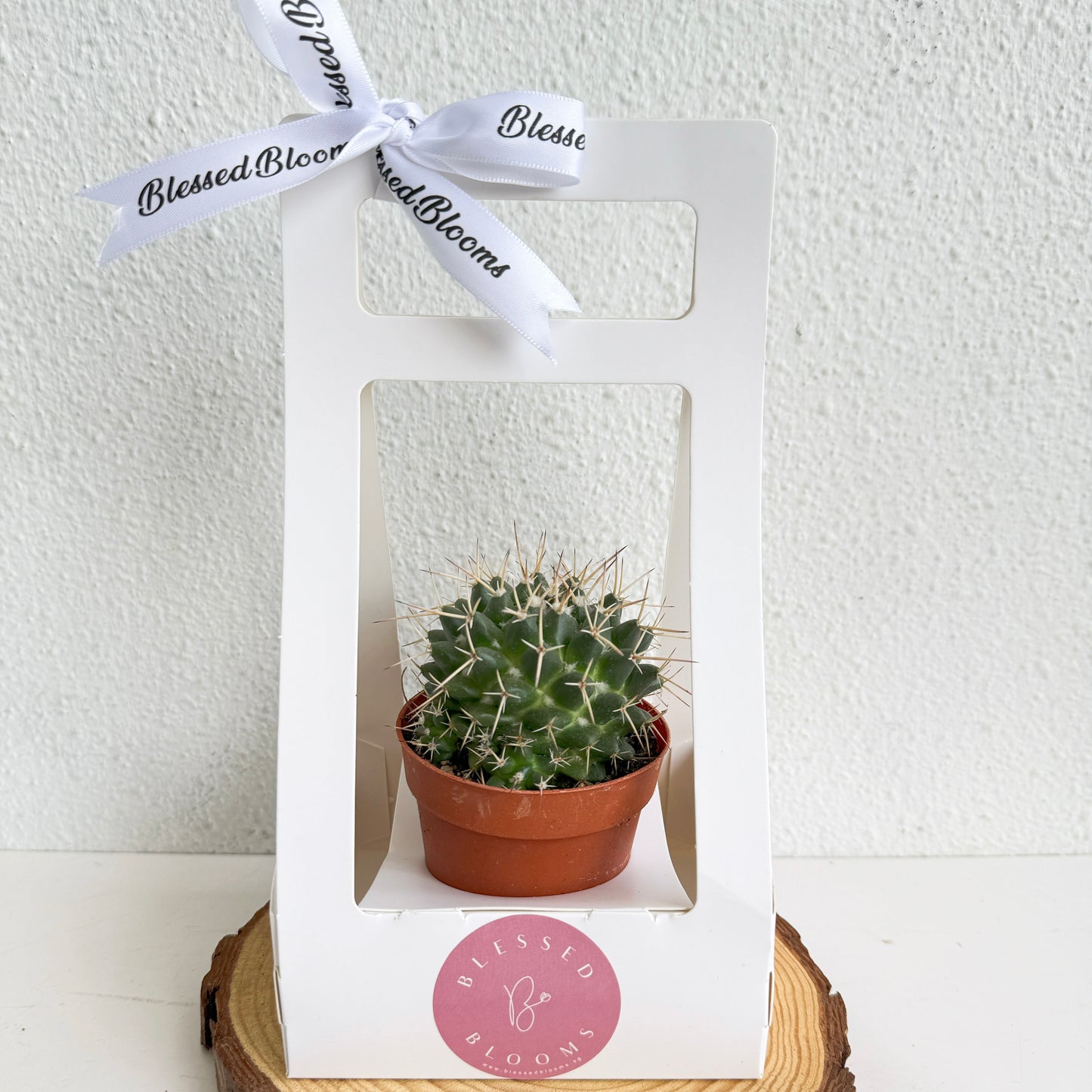 “Bloom & Grow” Teacher’s Day Special
