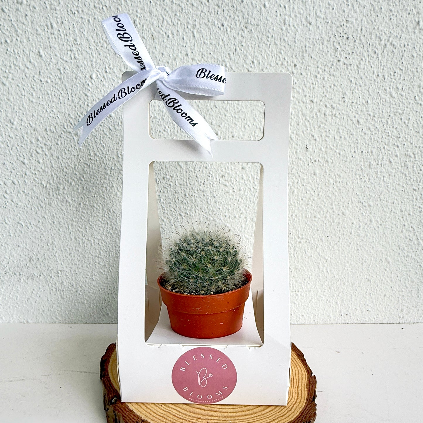 “Bloom & Grow” Teacher’s Day Special