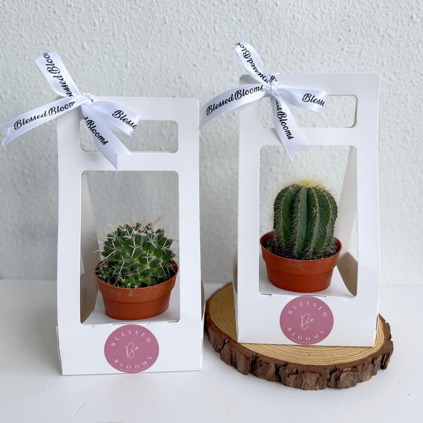 “Bloom & Grow” Teacher’s Day Special