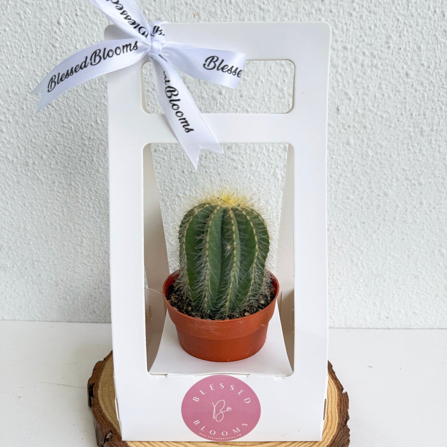 “Bloom & Grow” Teacher’s Day Special