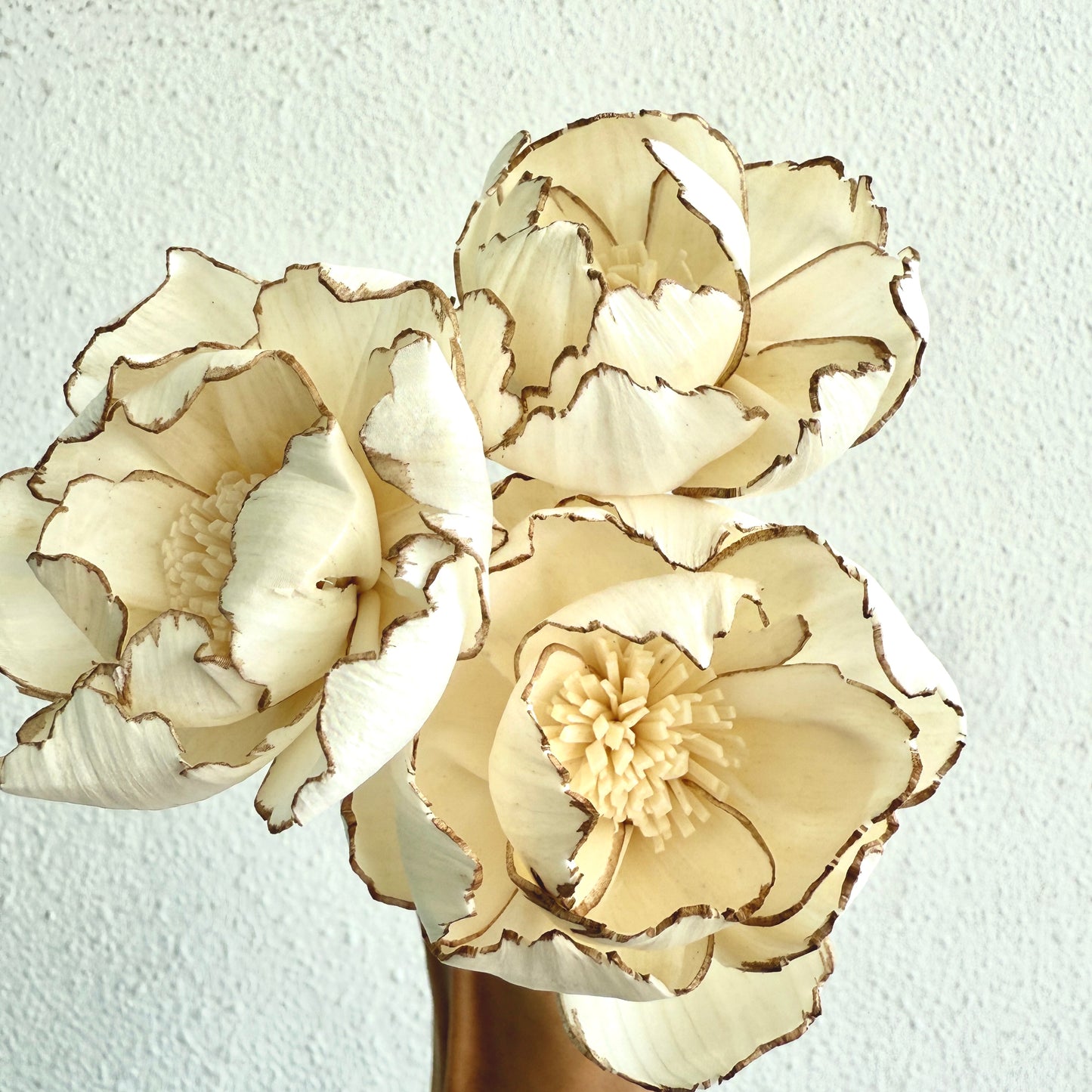 Everlasting Coral Embrace - Blessed Blooms