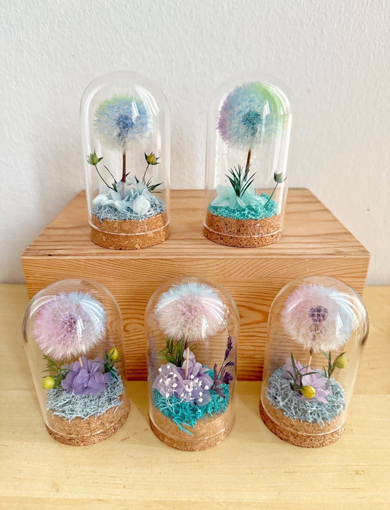 Dandelion Wish *NEW*