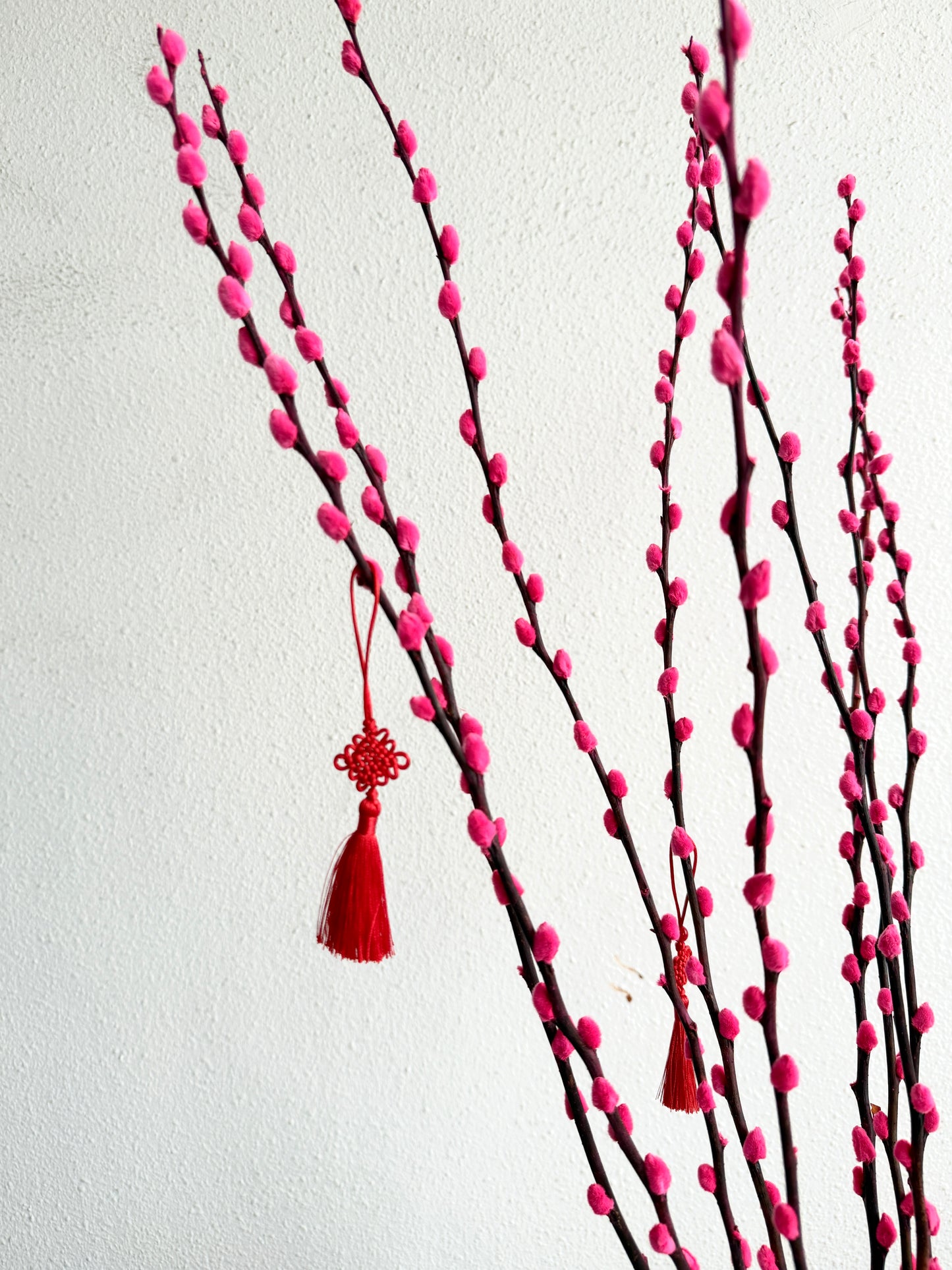 Classic Pussy Willow Vase