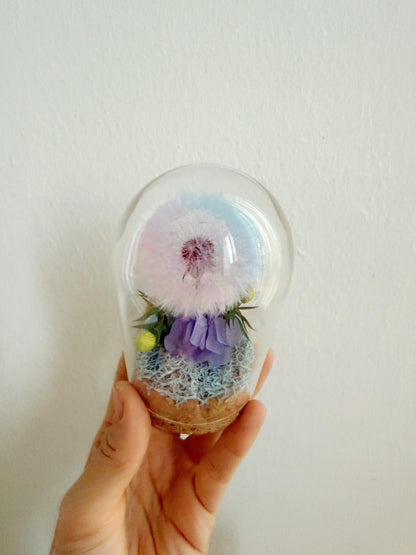 Dandelion Wish *NEW*