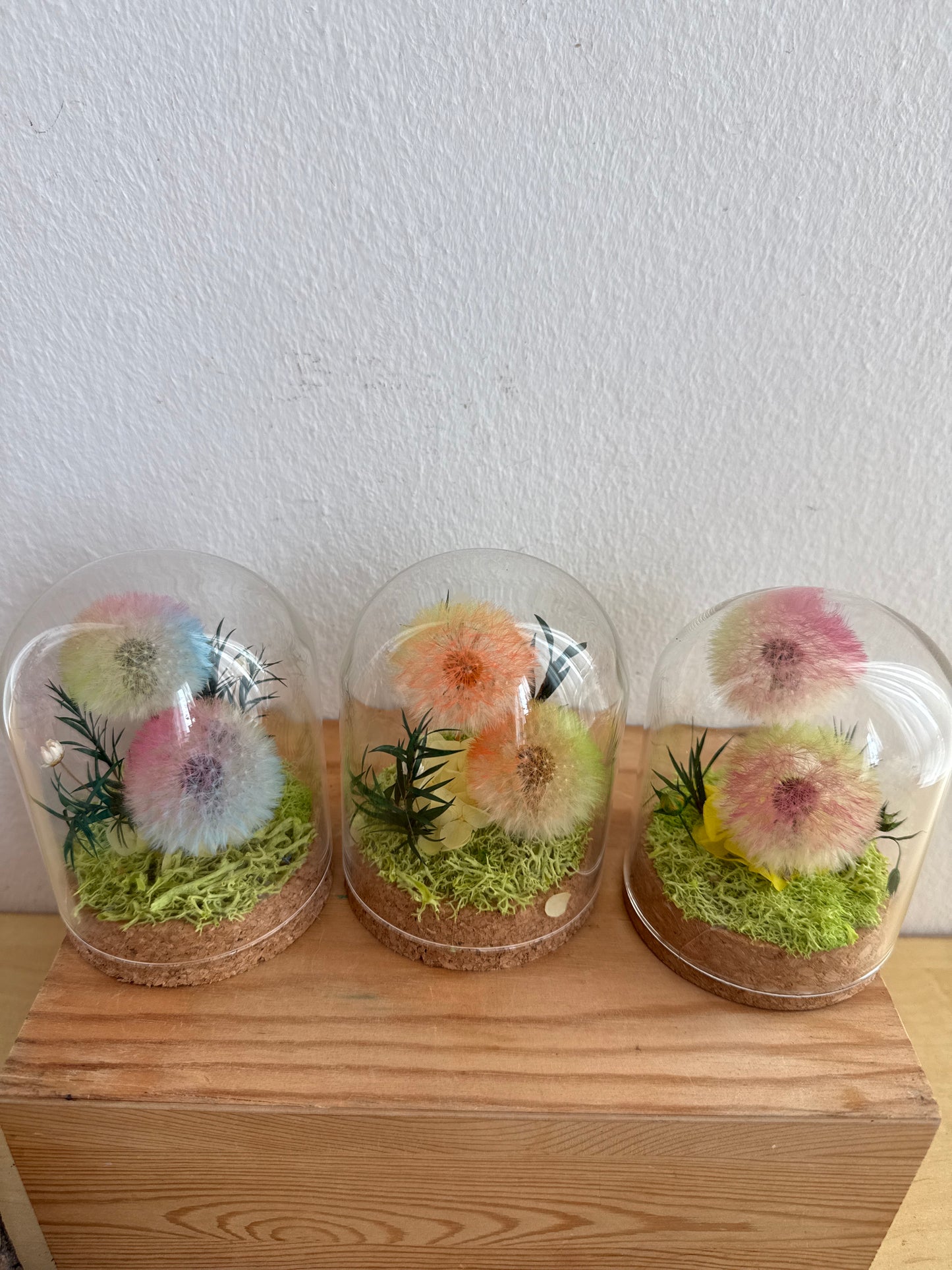 Double Dandelion Wish *NEW*