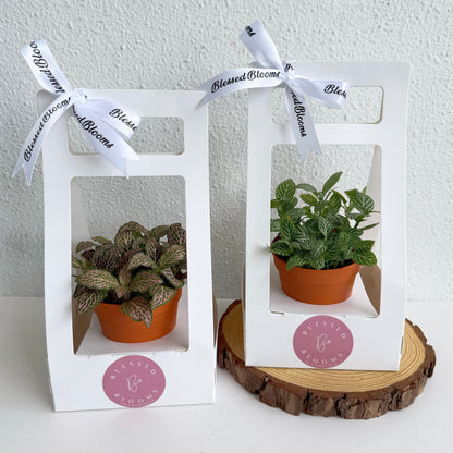 “Bloom & Grow” Teacher’s Day Special