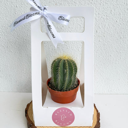 “Bloom & Grow” Teacher’s Day Special