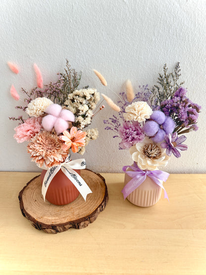 Sola Blooms 🌸