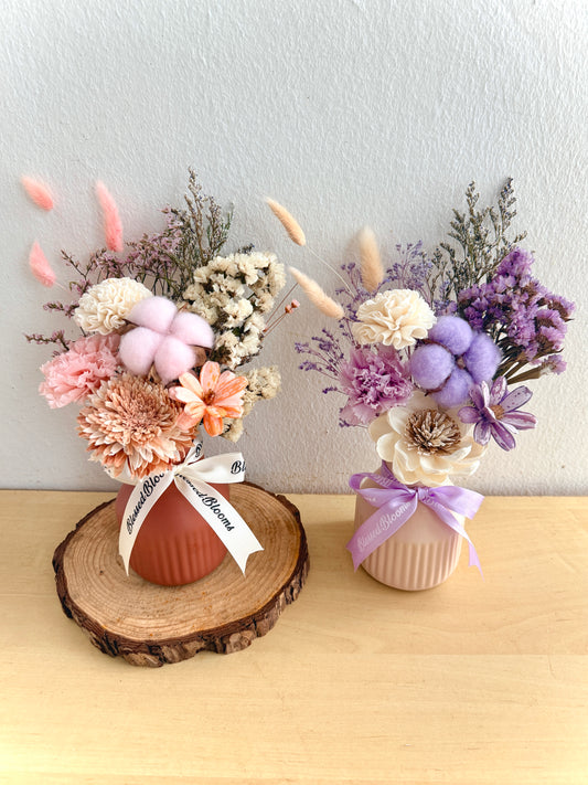 Sola Blooms 🌸