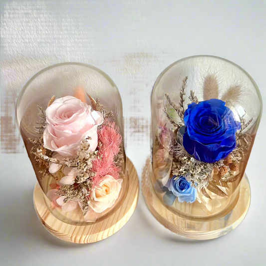 Everlasting Roses in Glass Dome - Blessed Blooms