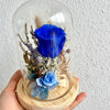 Everlasting Roses in Glass Dome - Blessed Blooms