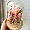 Everlasting Roses in Glass Dome - Blessed Blooms