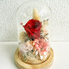 Everlasting Roses in Glass Dome - Blessed Blooms