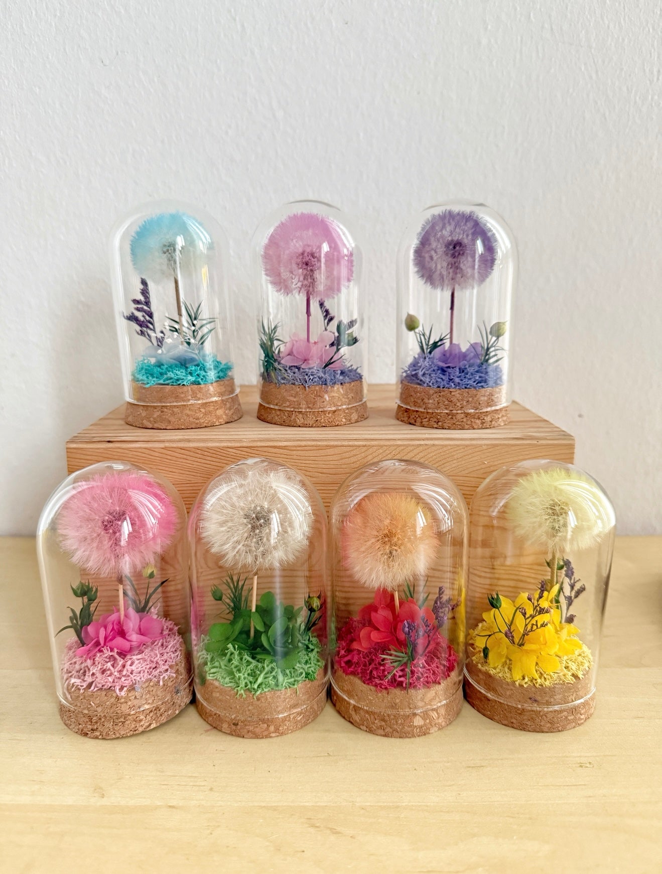 Dandelion Wish *NEW*